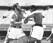 alzado.PNG alzado.PNG