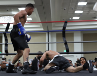 Commerce.PNG Commerce.PNG